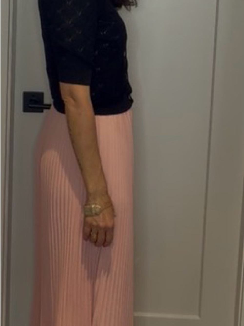 Aritzia Blush Pleated Maxi Skirt